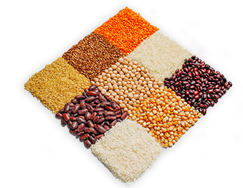 product5